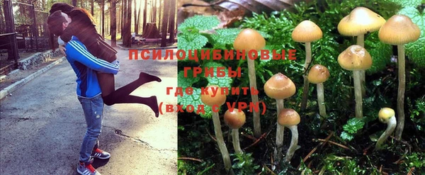 гидропоника Алзамай
