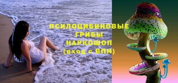 гидропоника Алзамай