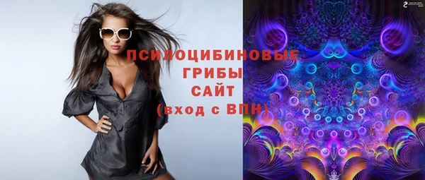 гидропоника Алзамай