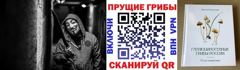 купить закладку  Всеволожск  Галлюциногенные грибы MAGIC MUSHROOMS 