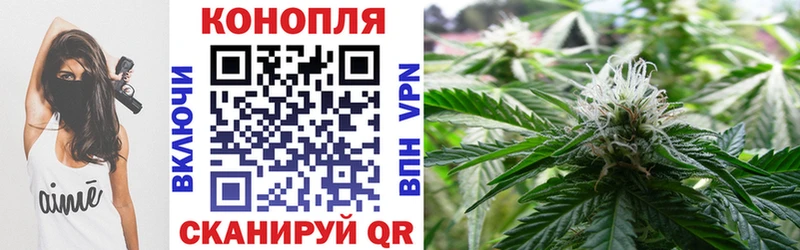 Шишки марихуана конопля Всеволожск
